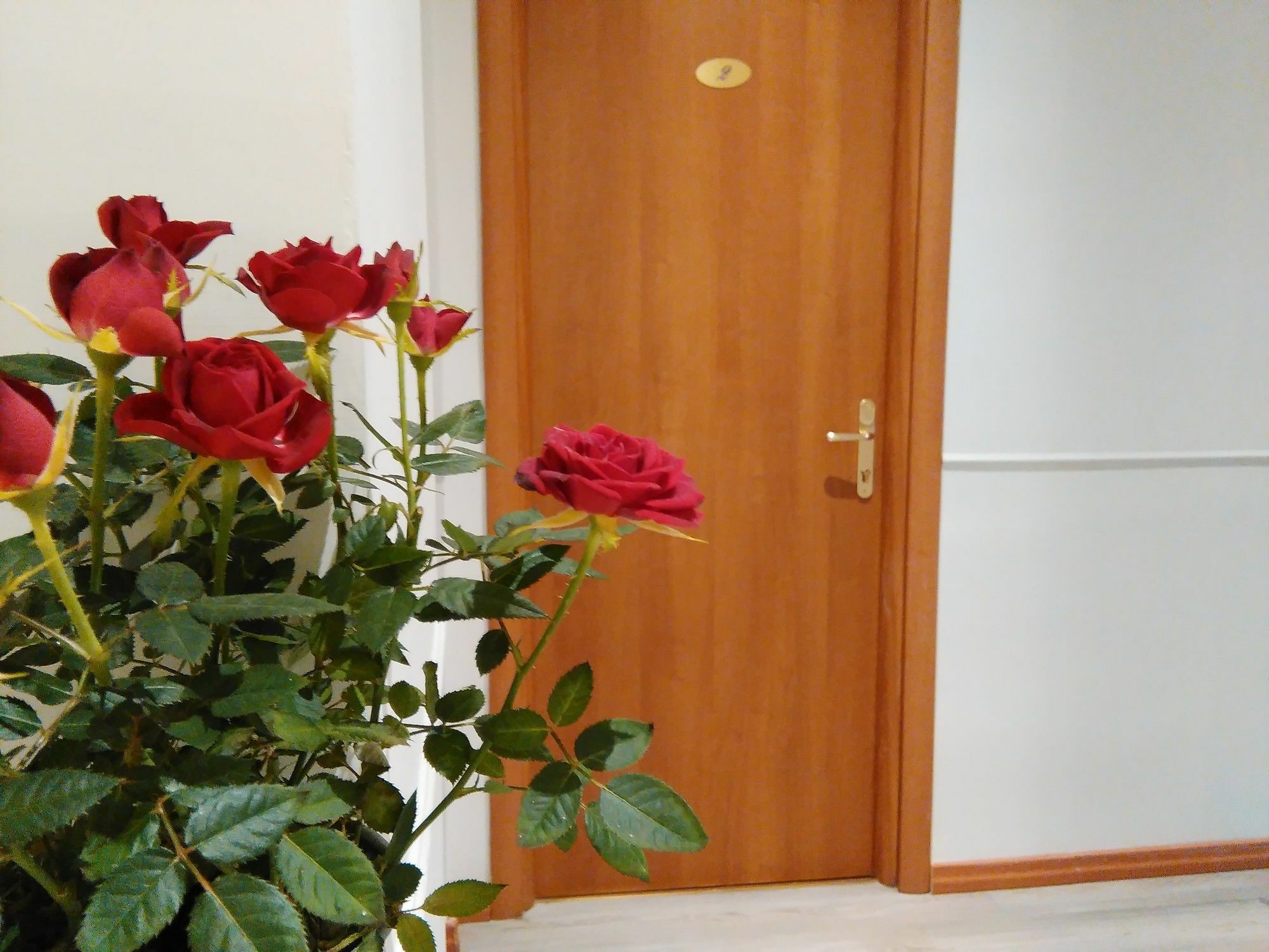 Villa Borghese Guest House โรม ภายนอก รูปภาพ